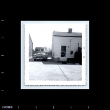 Vintage Square Photo DOG AND CLASSIC CAR IN DRIVEWAY DODGE 1958