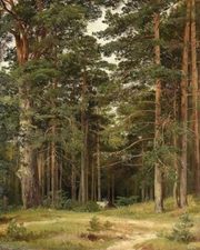 Forest cabin scenery landscape Oil Painting Wall Giclee Printed on Canvas P024