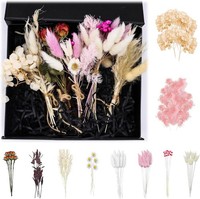 70 StüCk Trockenblumen Klein Getrocknete Blumen Trockenblumenstrauß