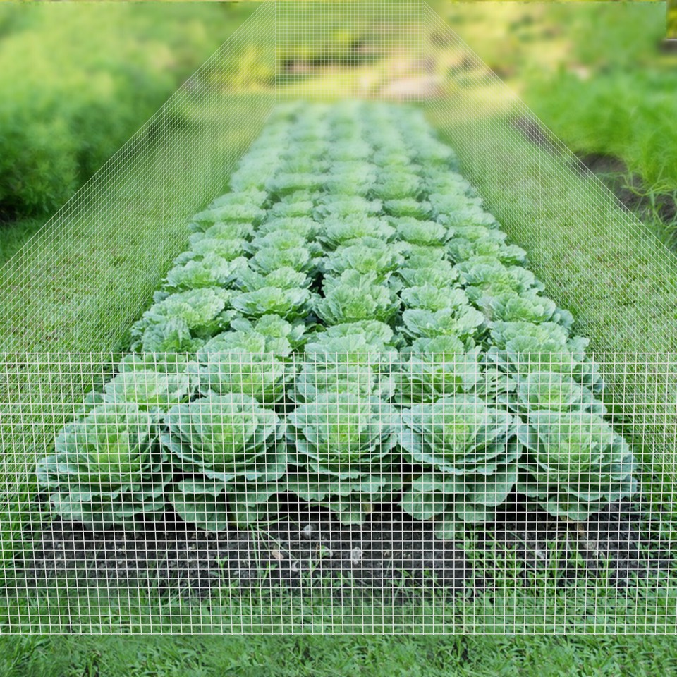 48In X 50ft 1/4 Inch Hardware Cloth Welded Cage Wire Fence Mesh Roll eBay