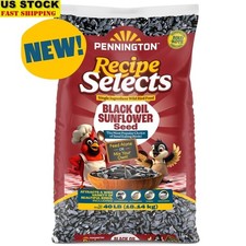 Black Oil Sunflower Seed 40lb Wild Bird Food High Protein Year-Round Feeders New