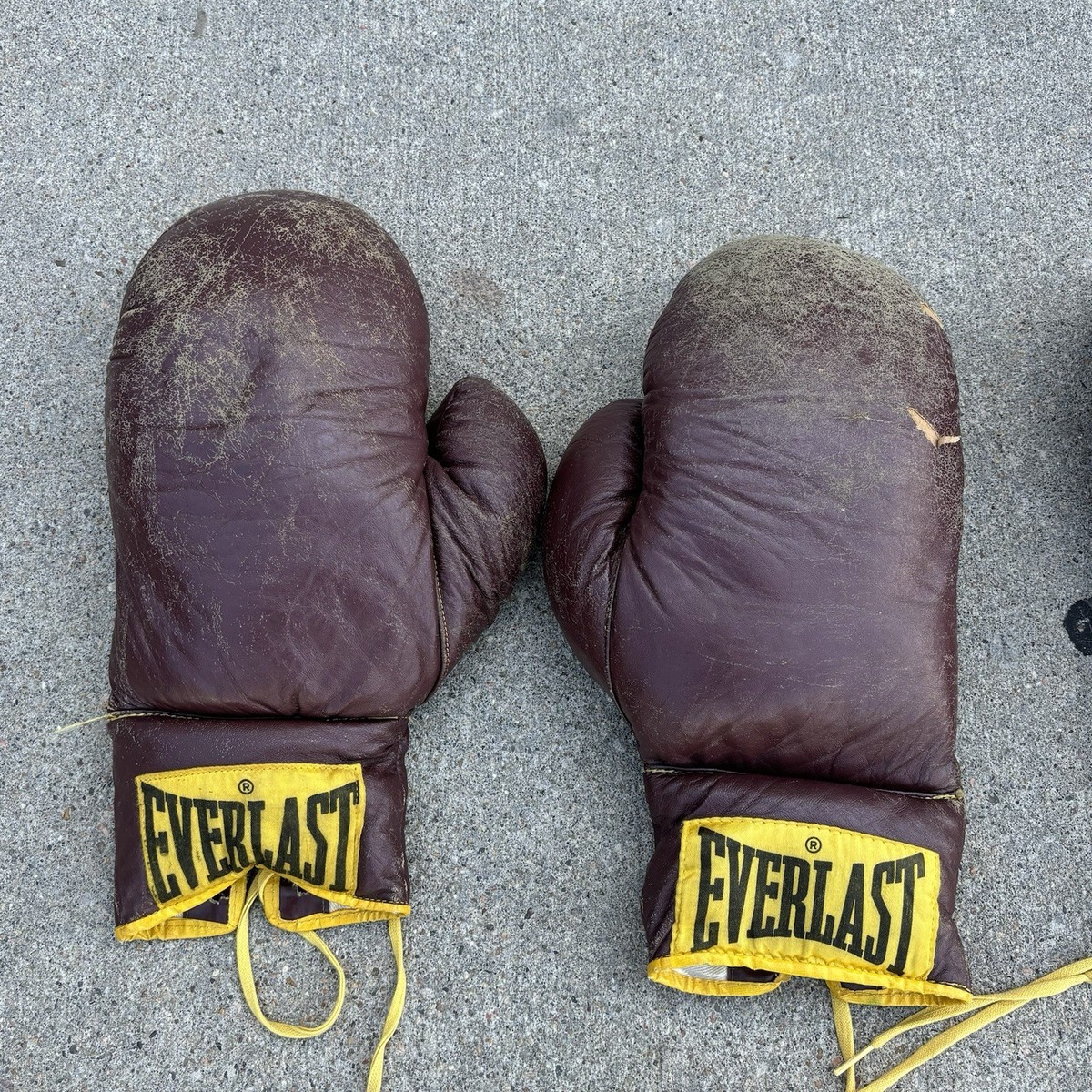 Everlast 牛柄 ボクシンググローブ 12oz Vulture 23-7_2953bf74-1611-4259-8a3c-