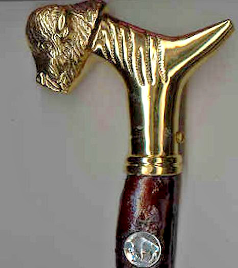 CANE ~ Walking Stick made from a  Bull Sex Organ - BUFFALO handle 