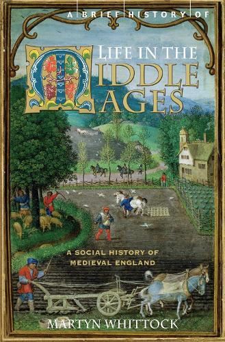 Brief History of Life in the Middle A Paperback Book, Like New