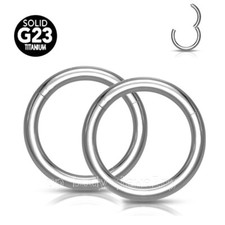 2x G23 Titanium Hinged Seamless Segment Ring Earring Cartilage Nose Hoop Septum
