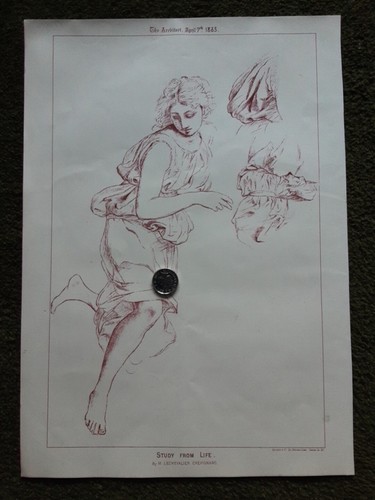 Antique Print M Lechevalier Chevignard Study From Life Art 1883