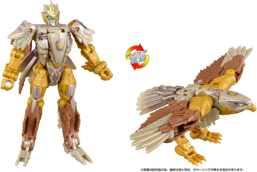 虎目Tokai ANBOY REGALO series エレアコ RBA-35E Tokai - 虎目Tokai ANBOY REGALO series エレアコ RBA-35Eの通販
