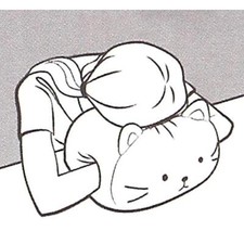 Nap Cushion Animal Pillow Stuffed Soft Plush