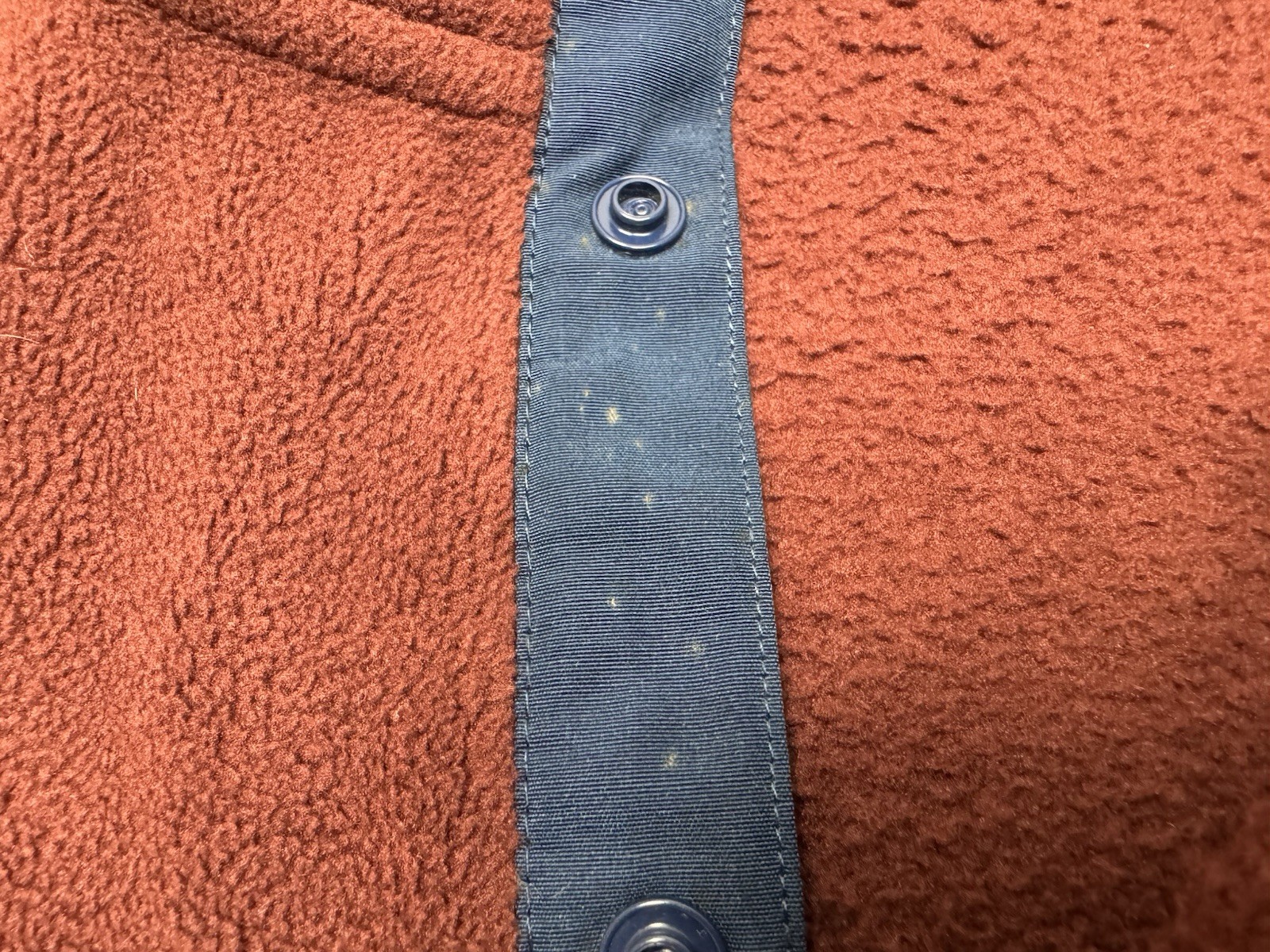 Picture 6 of 12