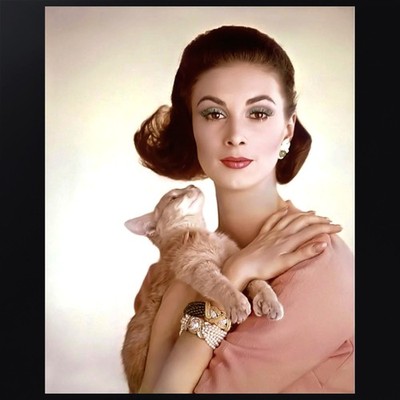 Wilhelmina Cooper 002 | 8 x 10 Photograph | Celebrity Model, Beautiful Woman