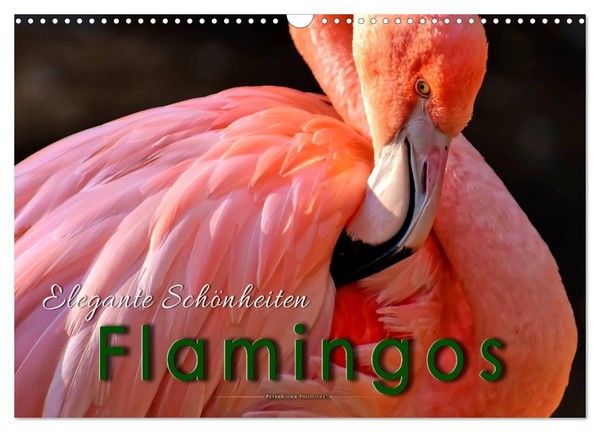 Calendar 2027 · US Version · Flamingos - Elegant Beauties (Wall Calendar 2027 17-image