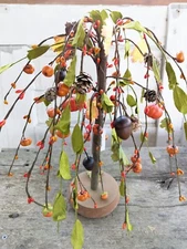 Fall PUMPKIN BERRIES Weeping Willow Tree Leaf Autumn Halloween Country Primitive