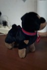 Foto 3 di 4