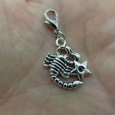 SCORPIO Charm Zipper Pull Keychain Add On Clip Dangle Zodiac Sign Scorpion Star