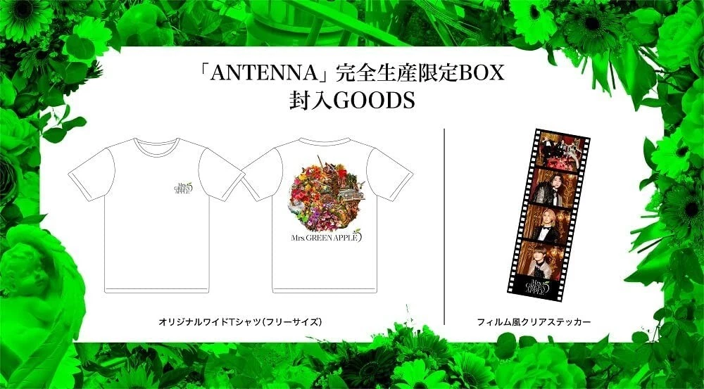 Mrs.GREEN APPLE ANTENNA First Limited Edition CD Blu-ray T-shirt Box Japan