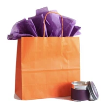 10 Luxury Orange  Paper Party Bags - Gift Bag With Handles -Birthday/Wedding