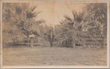 Early 20th Century Outdoor Portrait of Man by Wooden Fence Photo RPPC Postcard