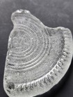 67 Lake Superior beach glass — photo 2