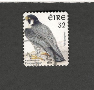 1997 Ireland Scott 1054b Peregrine Falcon θ Used Stamp Ebay