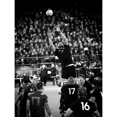 Coleman Rugby - Aufstellung der All Blacks Großer Leinwanddruck 46x61 cm
