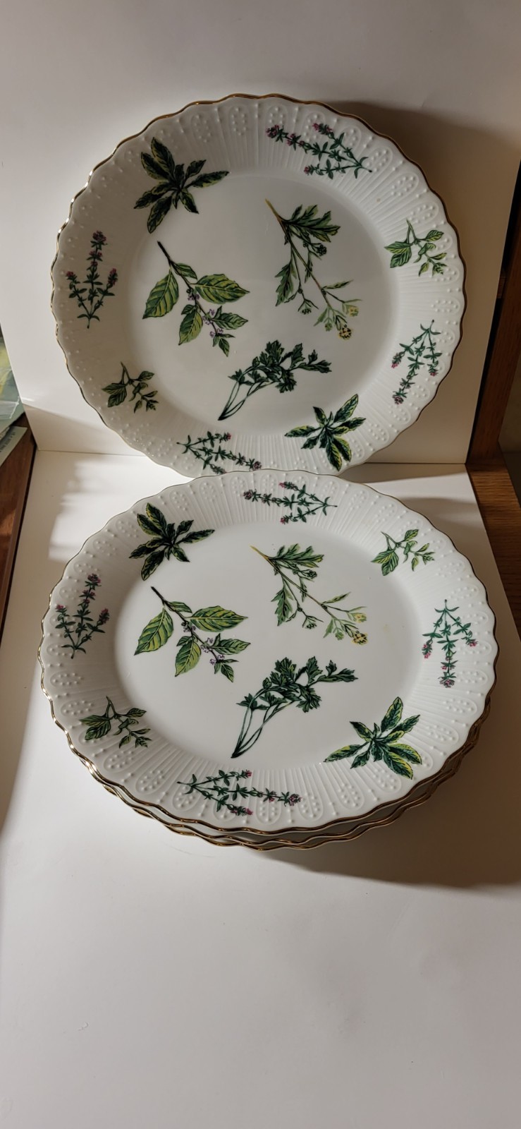 Juego de 4 platos de cena Andrea by Sadek Herbs de Provence