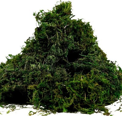 Artificial Moss Fake Green Grass for Centerpieces Home Kitchen Garden Decor (...