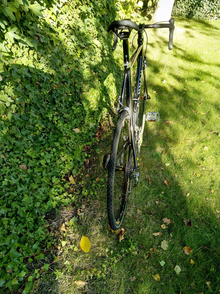 Canyon Roadlite F6 Rennrad - Bild 4 von 4