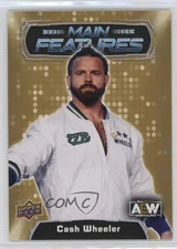 2022 AEW All Elite Wrestling Main Features Gold Dash Wilder Cash Wheeler 0t2