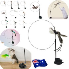 Cat Play Toy Interactive Simulation Bird Teaser Wand Stick with Suction Cup