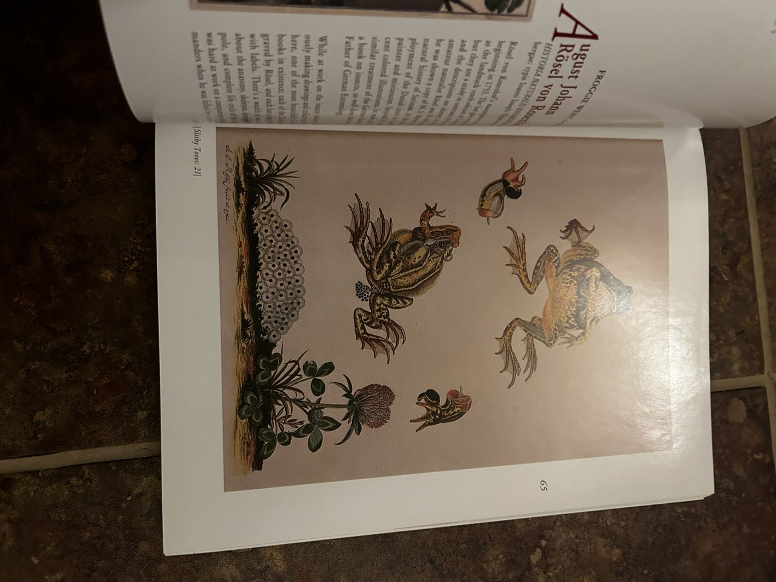 Picture 5 of 5