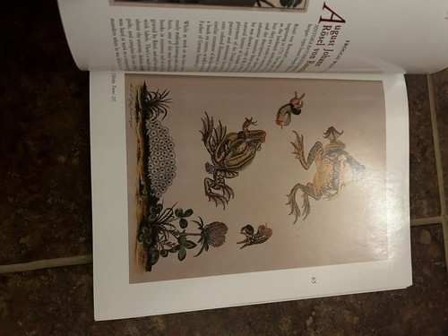 Slithy Toves Sally Haines Illustrated Herpetological Snakes Frogs Bibliography - Picture 5 of 5