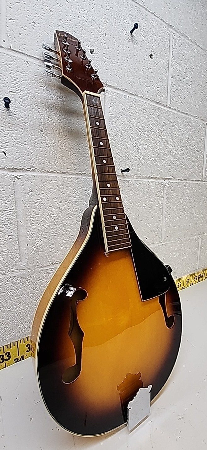 Mint Condition Johnson Oval Hole Mandolin MA100 with Hard Case (SR) eBay