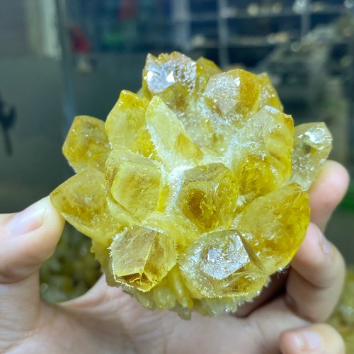 300g+ New Find Yellow Phantom Quartz Crystal Cluster Mineral Specimen Gem - Picture 7 of 12