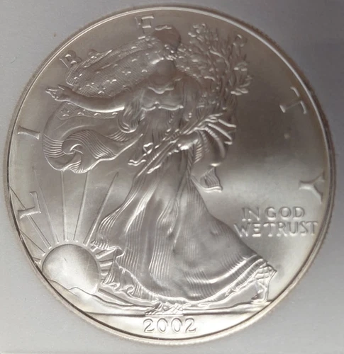 2002 SILVER EAGLE BRILLANT UNCIRCULATED WHITE COIN with lite edge tone