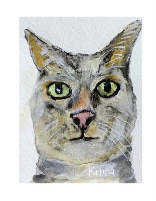 Aceo Gouache Painting By Kenna Cat 2.5  X 3.5  Signed Original