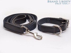 blue dog collar and lead