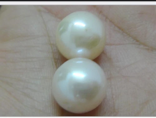 Pair 13-14mm natural south sea genuine white pinkish round loose pearl undrilled