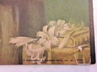 Bild 8 von 12