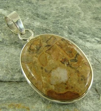 Poppy Jasper 925 Sterling Silver Pendant Necklace ~789c