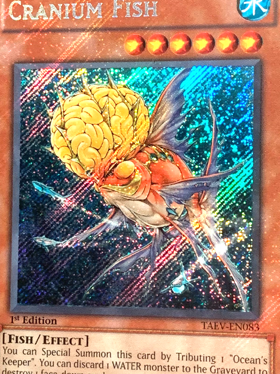 yugioh fish cards yugioh Cranium Fish TAEV-EN083 Secret Rare 1st Edition mint near mint