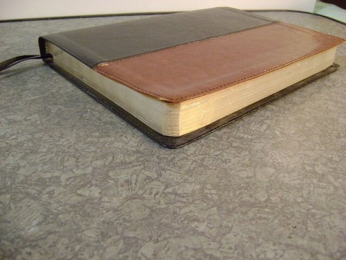 Premium Slimline Reference Bible NLT, Large Print, TuTone VERY NICE COND. - Imagen 7 de 23