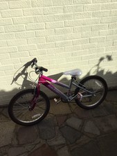 raleigh krush 20 purple