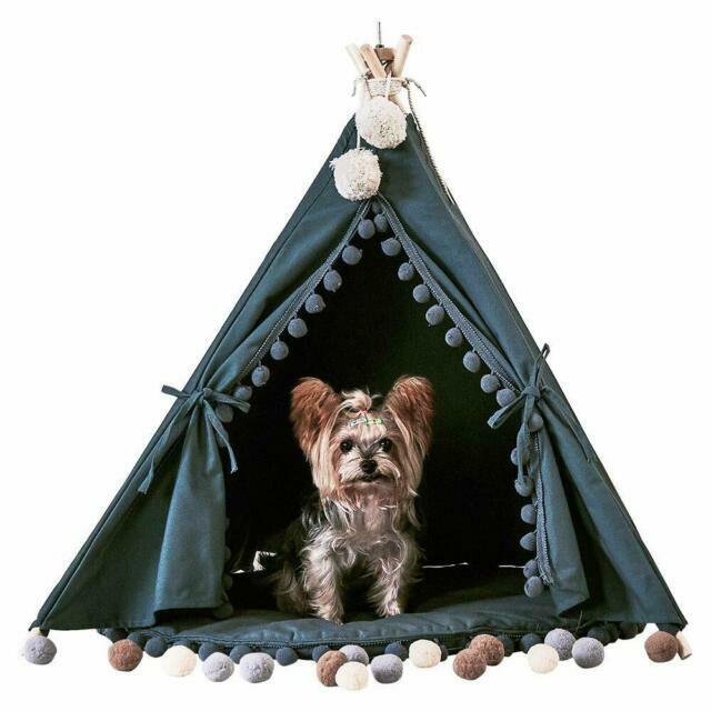 little dove pet teepee