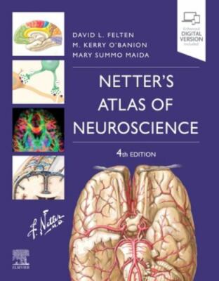 Netter's Atlas of Neuroscience (Netter Basic Science) by Felten MD  PhD, David 