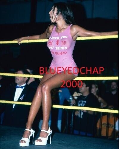 Jasmine St Clair Girl Wrestler 8 x 10 Wrestling Foto WCW - Bild 1 von 1