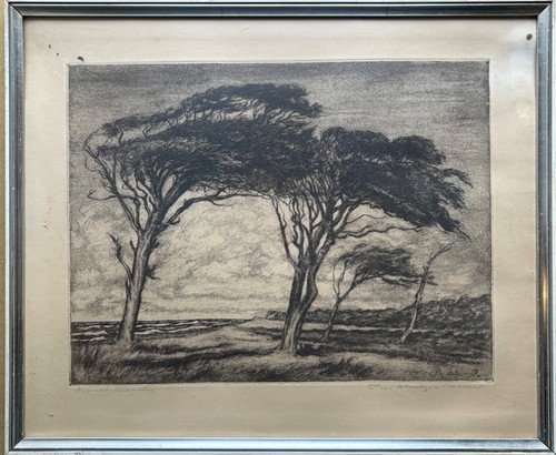 Radierung Nr2 Theodor Schultze-Jasmer Prerow Windflüchter Ostsee Strand Darss - Bild 1 von 10