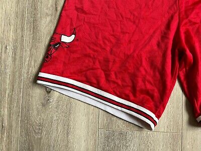 スポーツ・フィットネス CHICAGO BULLS THE 1990s スポーツ・フィットネス CHICAGO BULLS THE 1990s Chicago Bulls