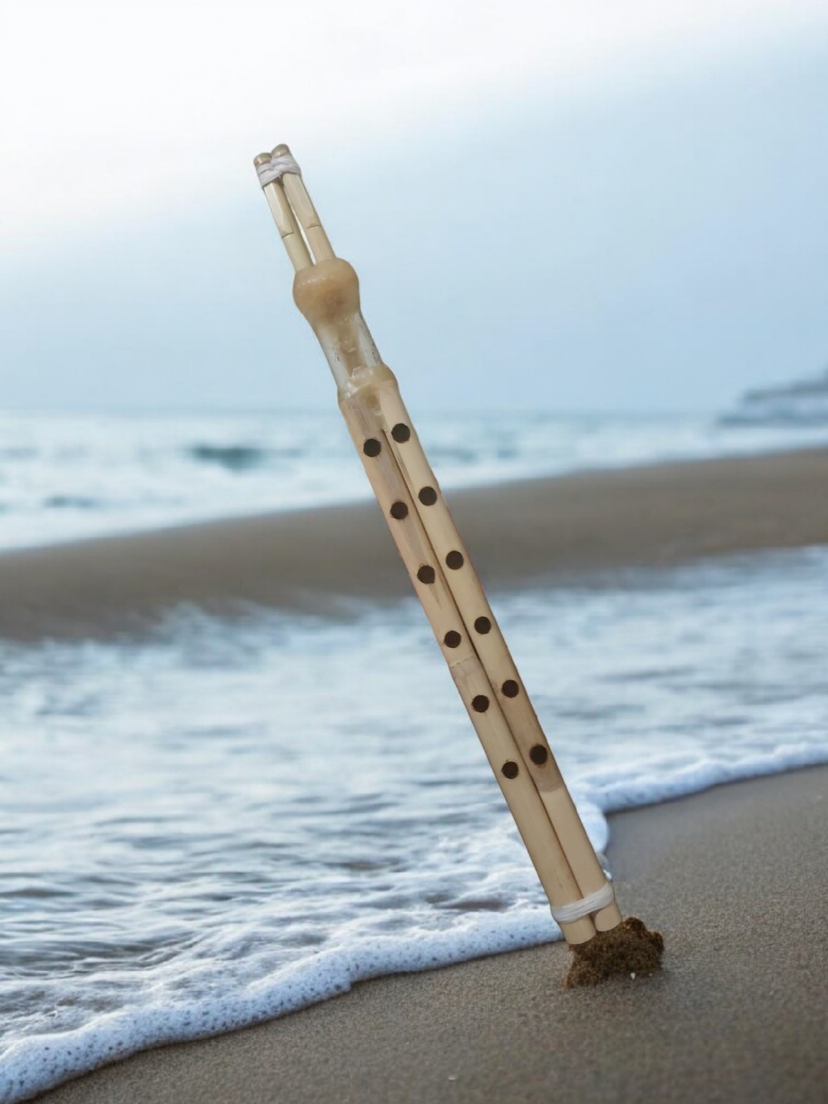 Traditional Bamboo Mijwiz Double Reed Flute Arabic Middle Eastern Folk ...
