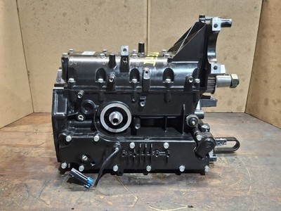 Mercury 40 50 60 Four Stroke EFI Cylinder Block Assembly 893502T02 857015T6