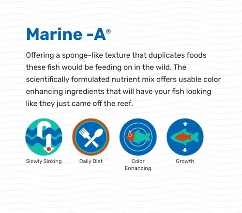 Hikari Marine A superior color enhancing diet for larger marine fish 110g - Picture 4 of 9